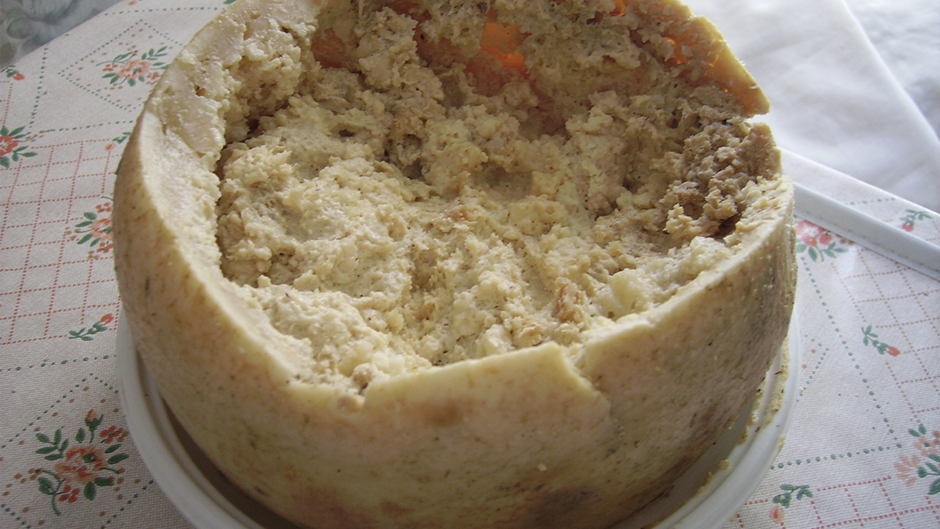 Casu Marzu cheese