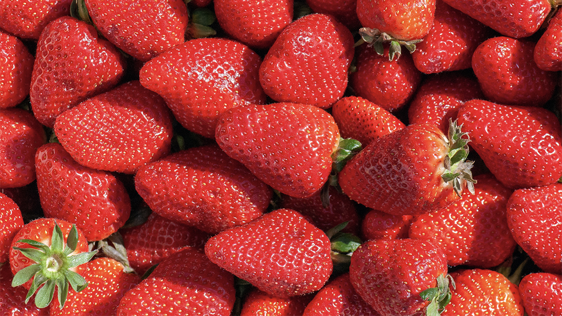 Close up of strawberries