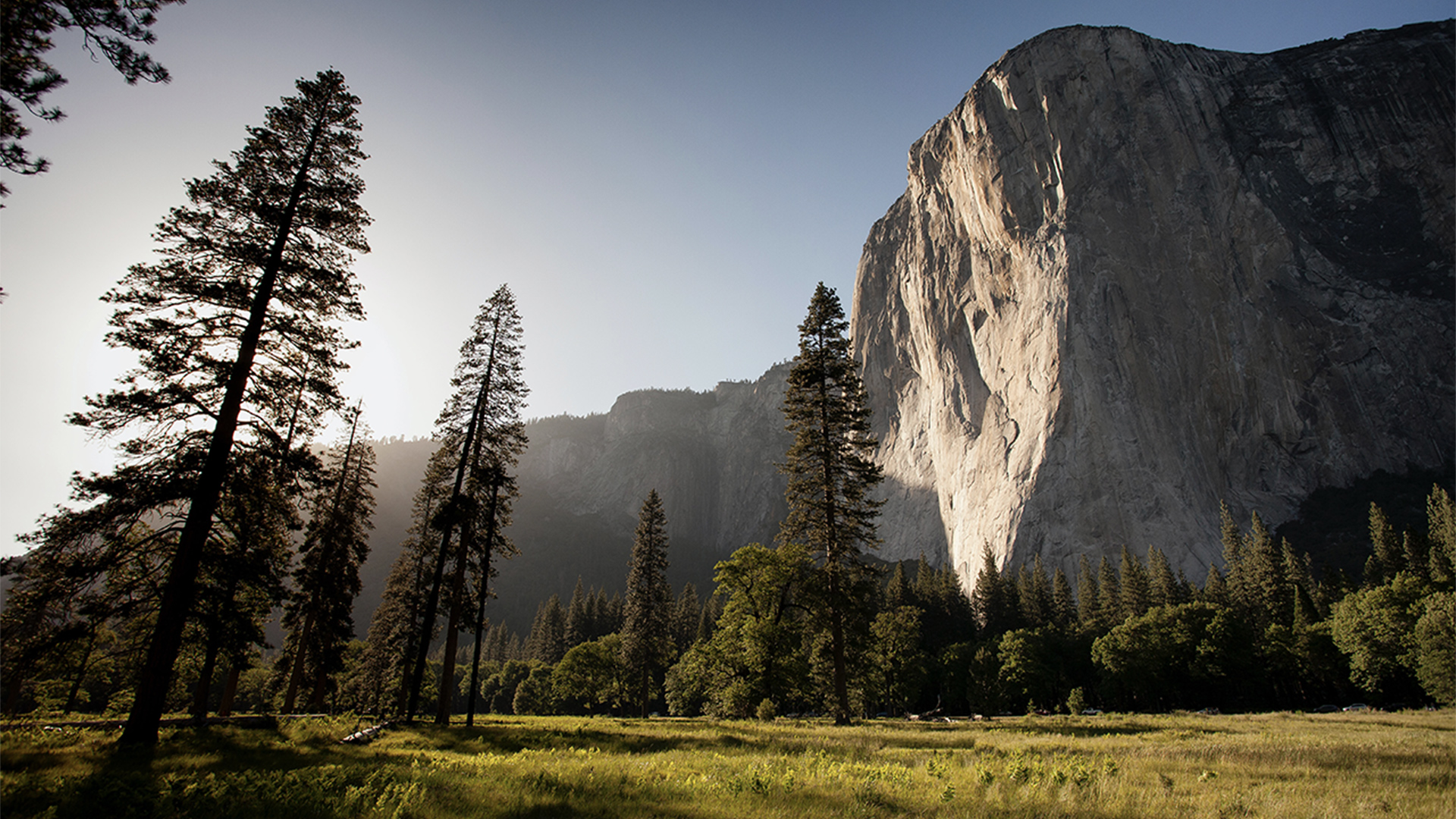 Mountains and trees in sun