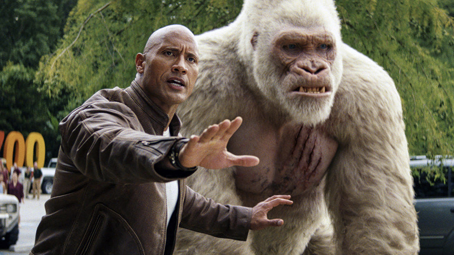 The Rock and a white gorilla