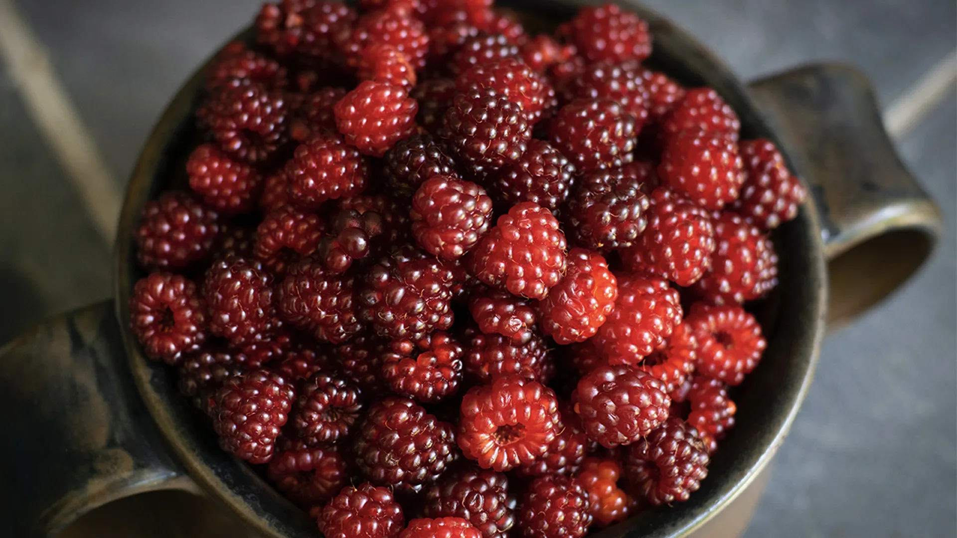 Raspberries in a bowl