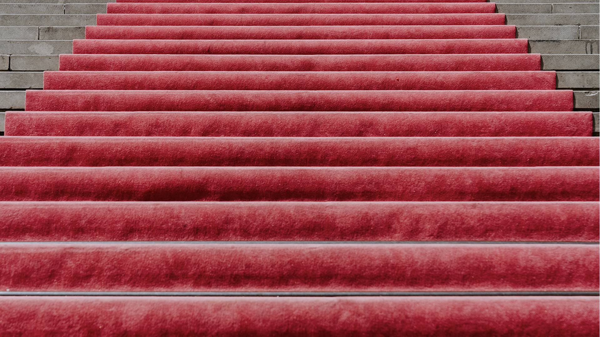 A red carpet on stairs