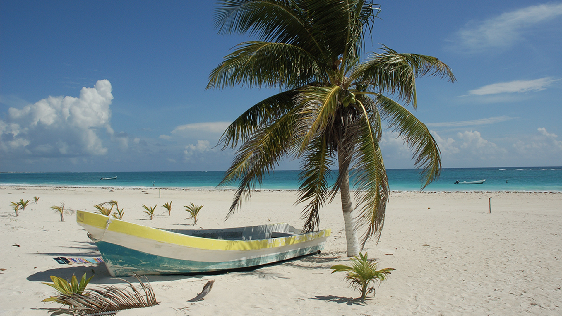Palmtree and boat on a beach
