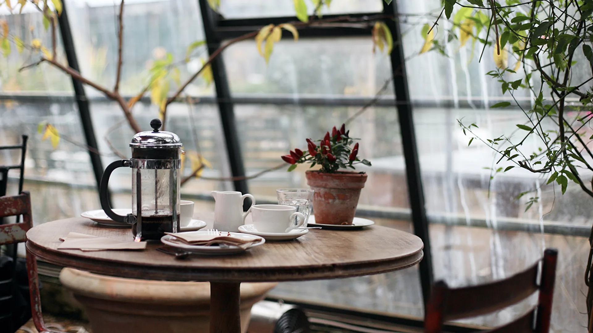 A table with a plant, a mug, a class, a cafetiere and some plates