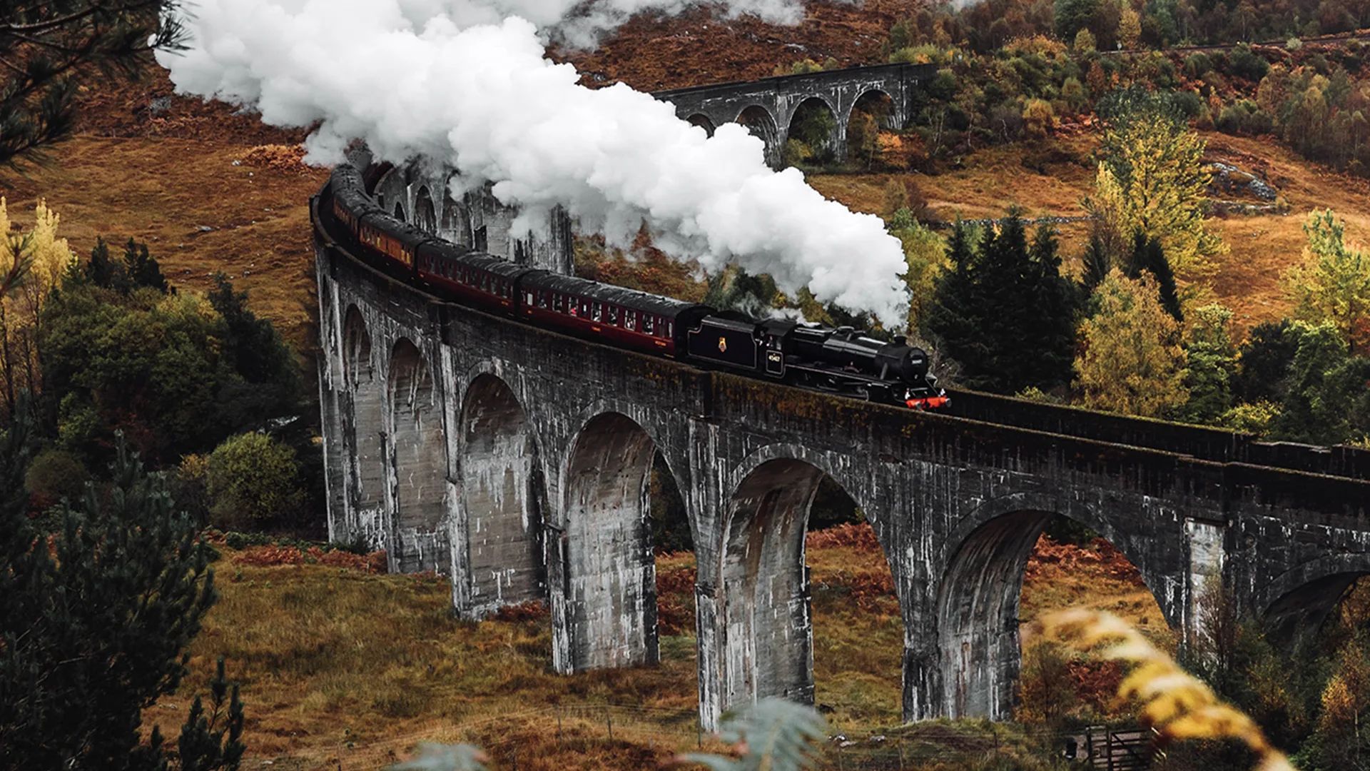 The Jacobite Steam train