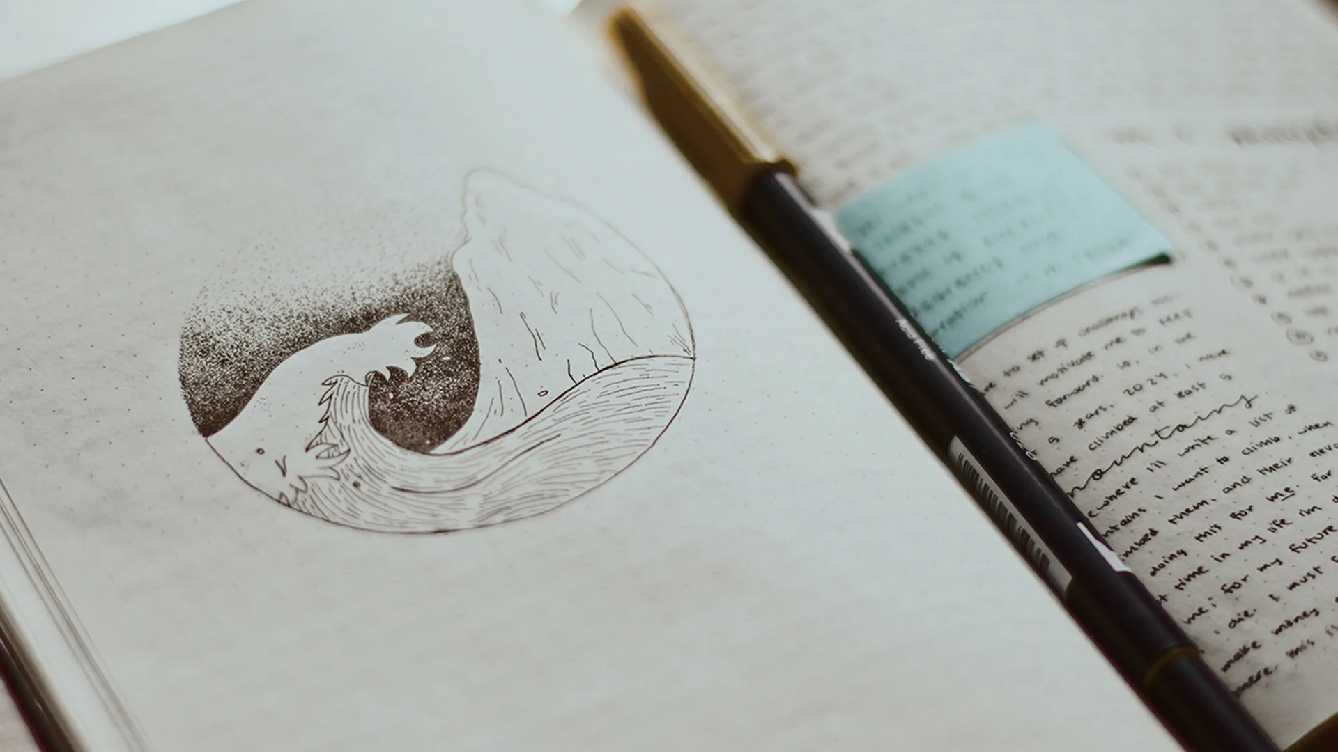 A journal with an drawn image on the left side and writing on the right