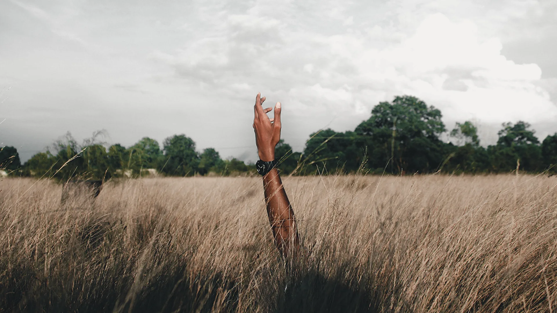 A person lying in a field with their arm above the long grass