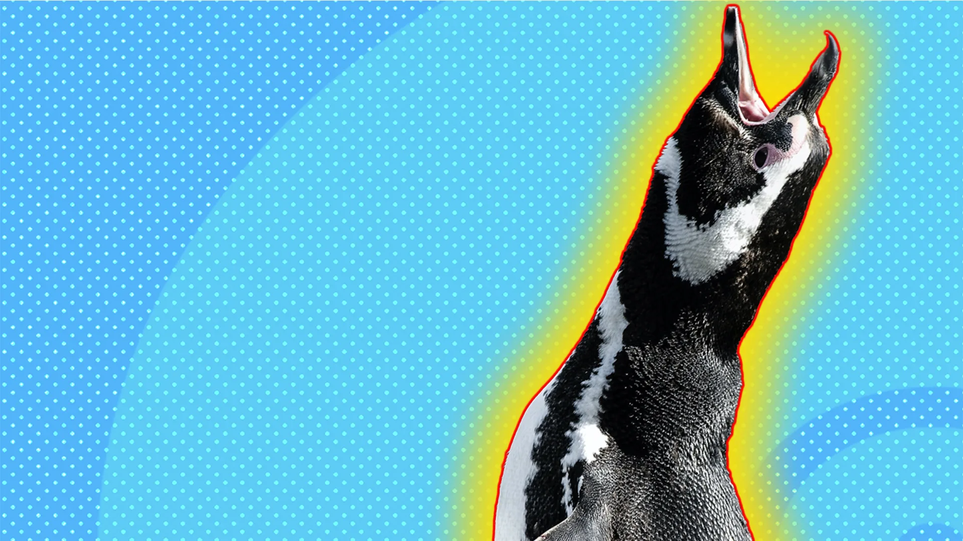 A squawking penguin that looks like it's singing outlined against a blue textured background and a yellow and red halo outline