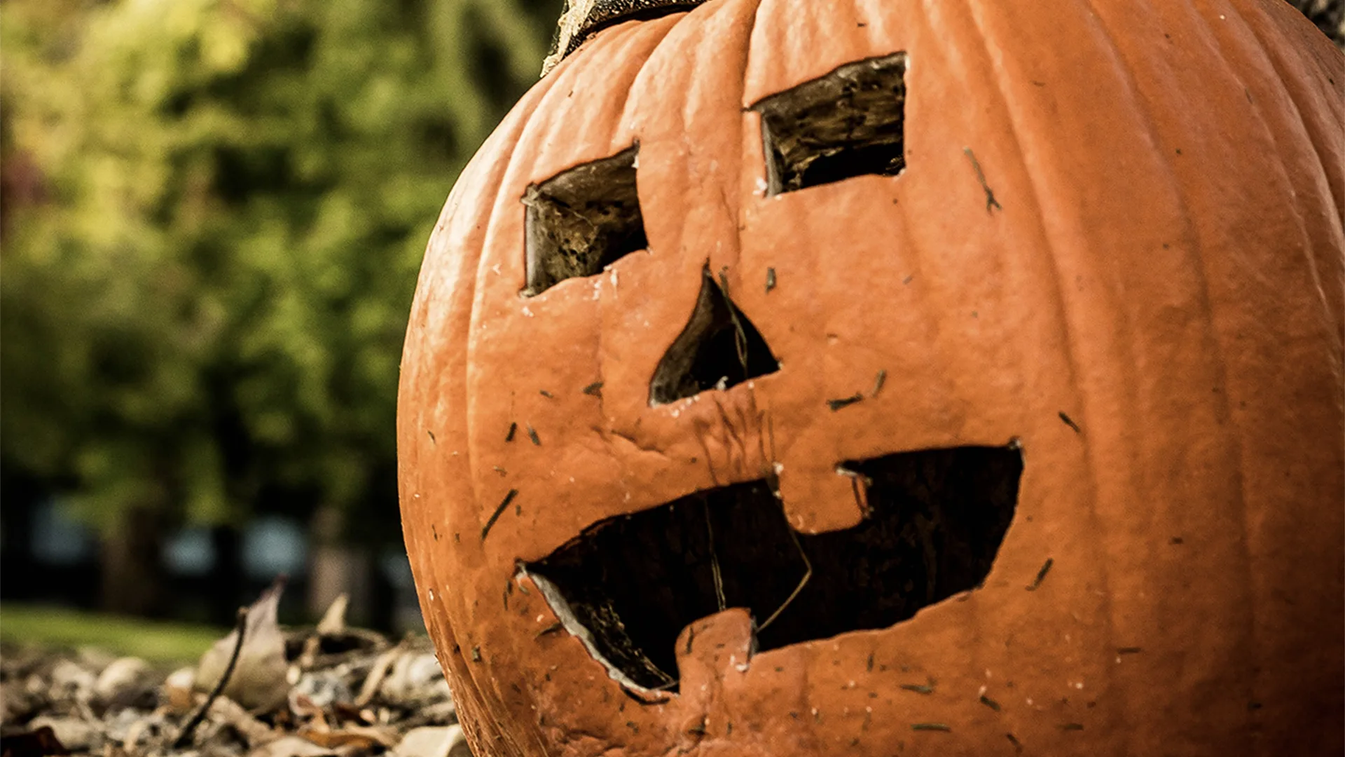 Large pumpkin in the woods with face drawn on it