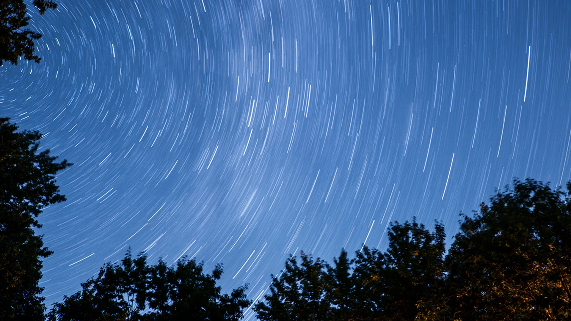 silhouette of trees under blue sky