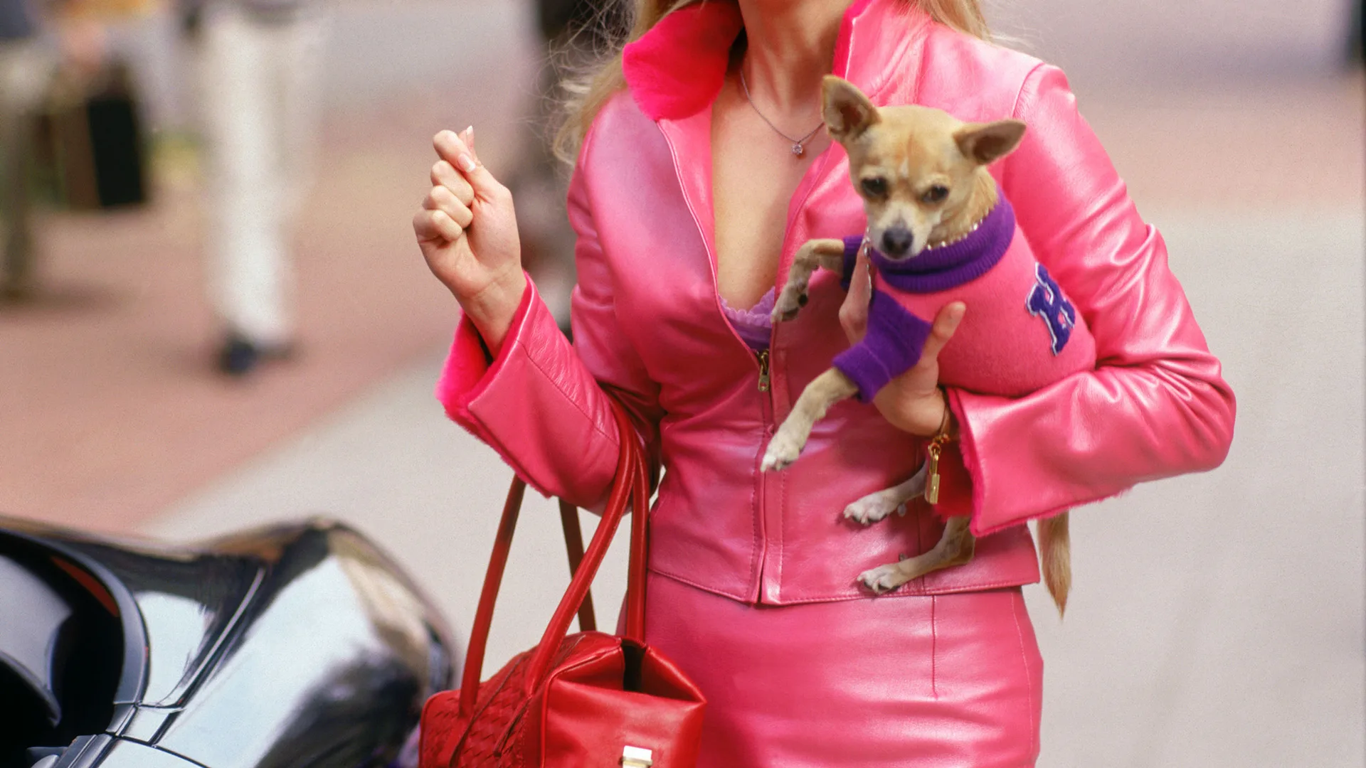 A photograph of a woman wearing a pink leather suit holding a small dog and pink handbag